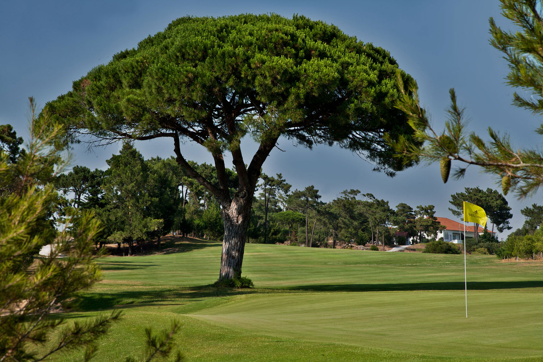 Golf-expedition-golfreizen-golfresort-Palacio-Estoril-Hotel-Golf-And-Spa-golfbaan-hole-2