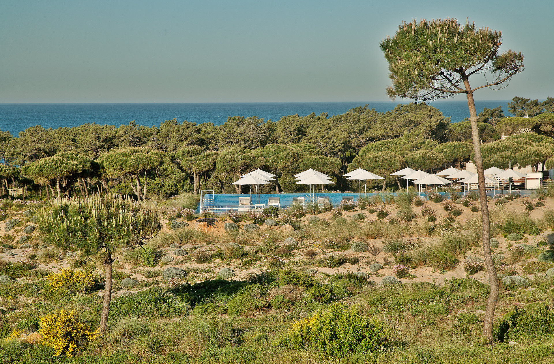 Golf-expedition-golfreizen-golfresort-Royal-The-Oitavos-Hotel-pool-and-nature-view
