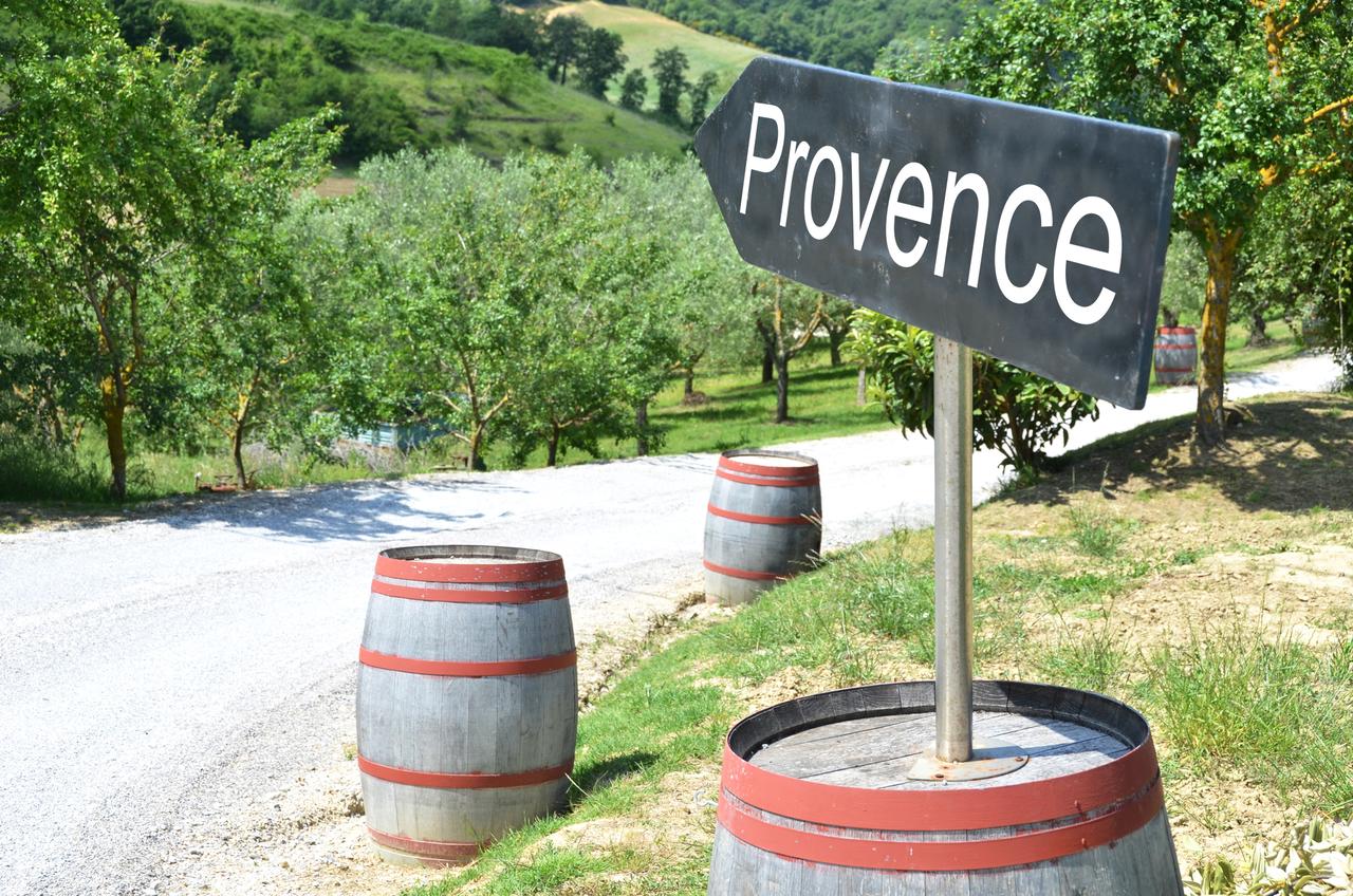 golf-expedition-golf-reizen-frankrijk-regio-provence-chateau-talaud-wijngaard-provence.jpg