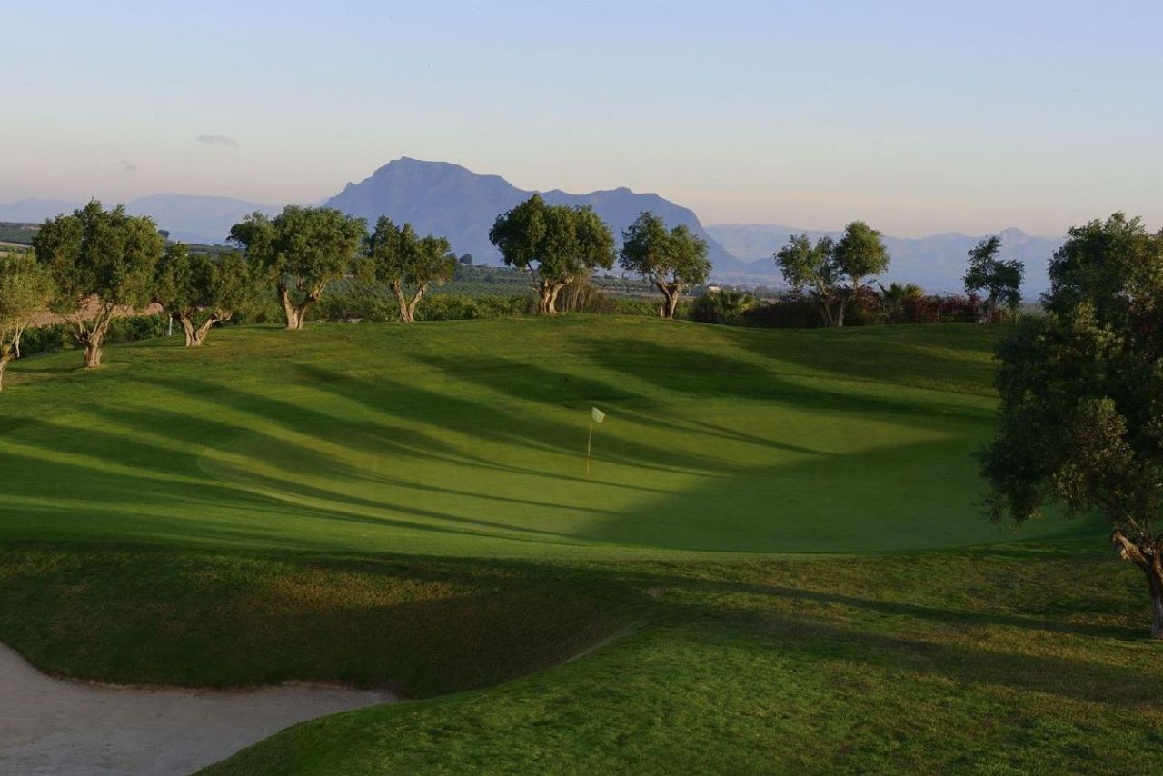 golf-expedition-golf-reizen-spanje-regio-alicante-la-finca-golf-resort-golfbaan-green-in-kuil.jpg