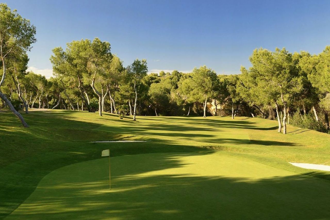 golf-expedition-golf-reizen-spanje-regio-alicante-la-finca-golf-resort-golfbaan-green.jpg